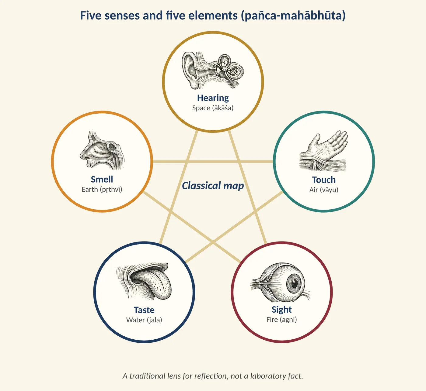 Figure 20.1 The classical map of five senses and five elements. (Illustration created with AI tools.)